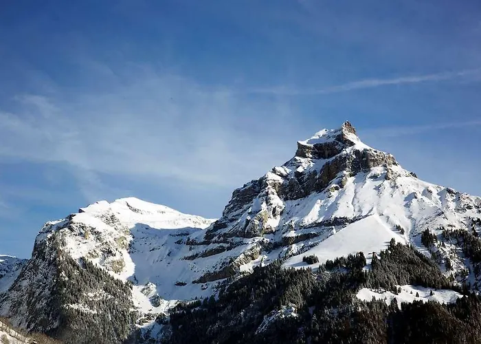 Sonnwendhof Engelberg